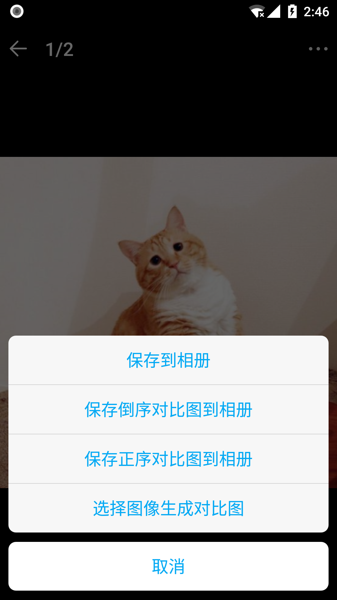 猫咪记账本v1.0.1截图3