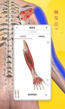 3Dbody解剖截图