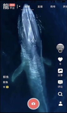 龍平臺影視截圖