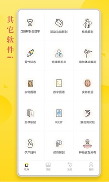 3Dbody解剖截圖
