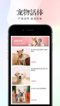 波奇寵物截圖