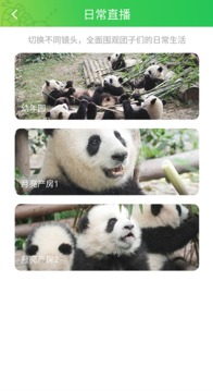 pandapia截图