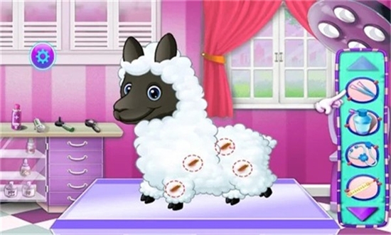 羊驼宠物护理截图3