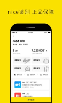 nice截图