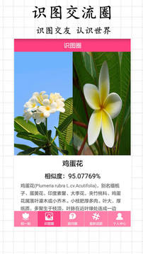 拍照識(shí)物截圖