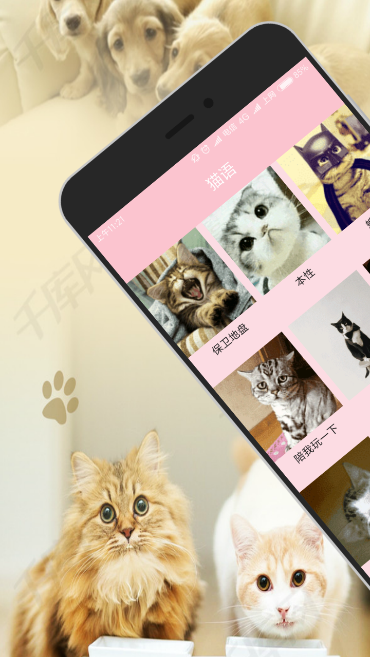 人猫交流器v3.1.0截图1