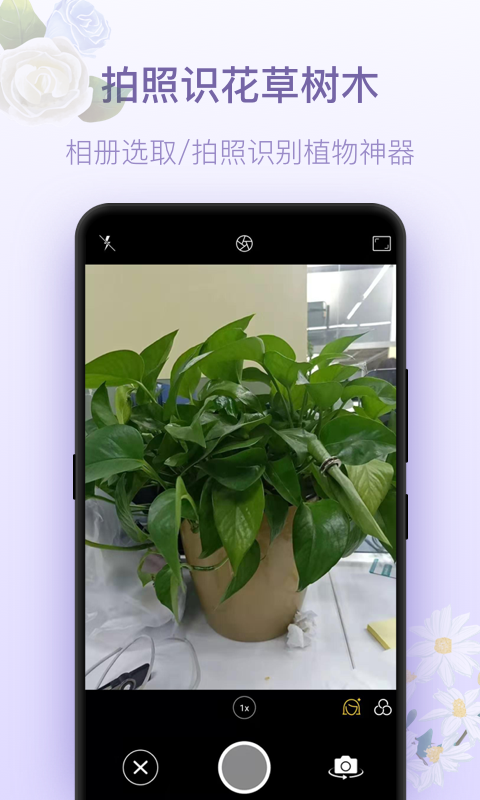 拍照識花神器截圖預覽