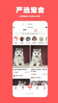 寵物王國(guó)截圖