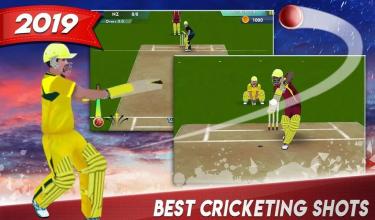 World Cricket Fever 2019截图2