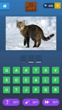 Guess the Animal Cat Dog Quiz截图5