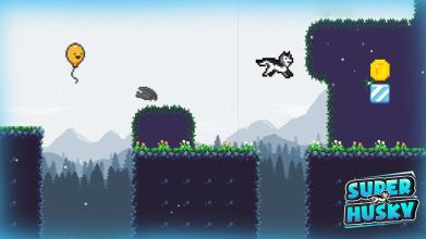 Super Husky Adventure Platform Game截图5