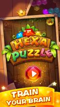 Block Puzzle  Hexa Block Puzzle Games截图5
