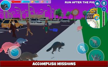 Raccoon Adventure City Simulator 3D截图4