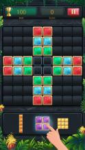 Block Puzzle Jewel Classic  Block Puzzle Game截图1