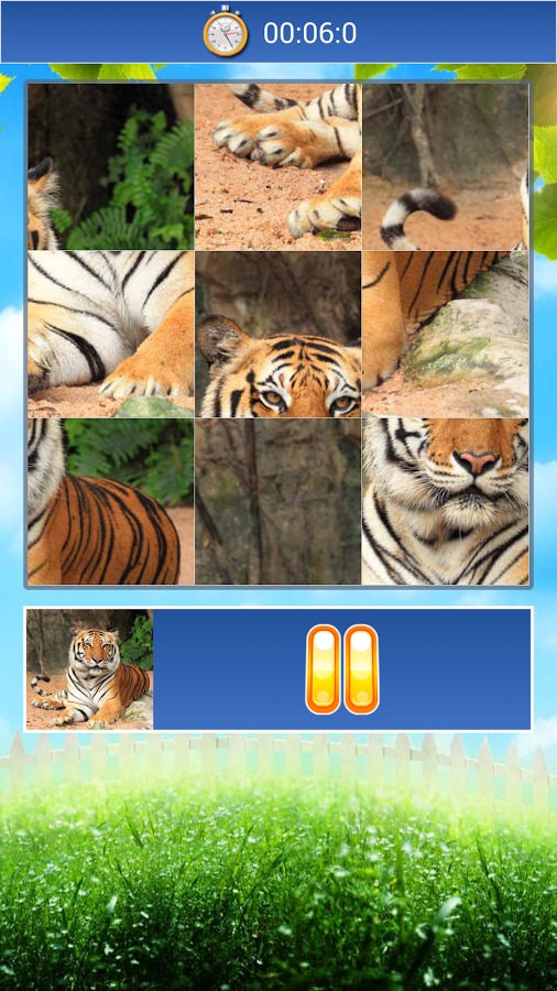 Animals World Jigsaw Puzzle截图4