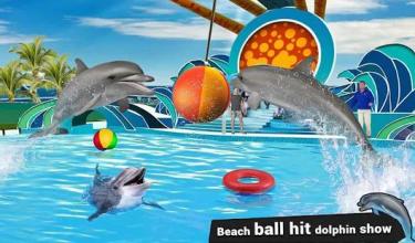 Water Park Dolphin Show Water World Dolphin Games截图2