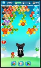 Dog Bubble截图5