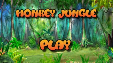 Monkey Jungle截图1