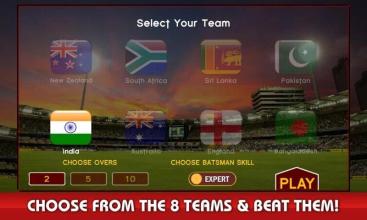 World Cricket: Indian T20 Live截图1