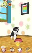 My Talking Puppy截图1