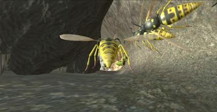 Wasp Nest Simulator - Insect and 3d animal game截图1