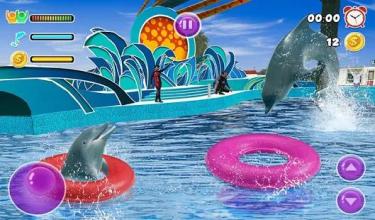 Water Park Dolphin Show Water World Dolphin Games截图5