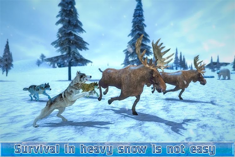 北极狼群3D截图1