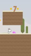 Rabbit Adventure!截图3