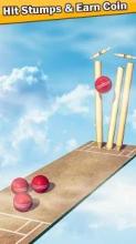 Top Cricket Ball Slope Game截图1