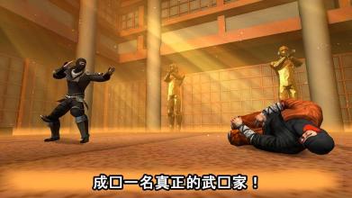 Ninja Kung Fu Fighting 3D – 2截图4