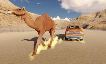 Desert Monster Truck Stunts - Camel Racing Game截图2