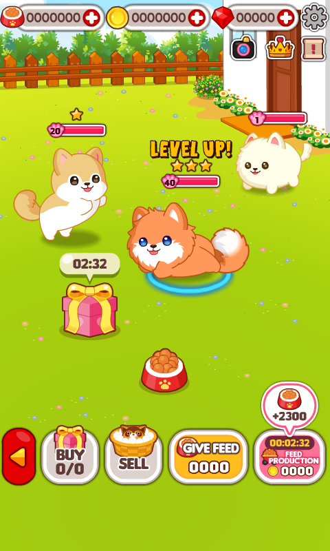 Animal Judy: Pomeranian care截图2