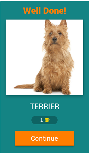 Dog Breeds Quiz截图2