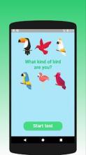 What kind of bird are you? Test截图4