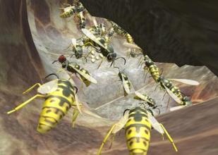 Wasp Nest Simulator - Insect and 3d animal game截图3