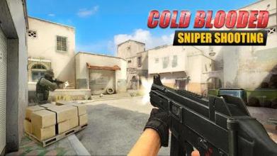 Cold Blooded Sniper Shooting截图1