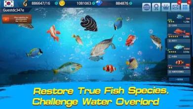 Fishing Championship截图2