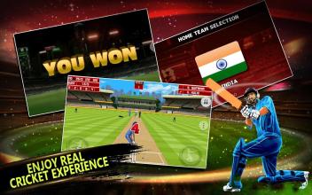 India vs New Zealand 2017截图1