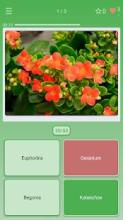 Guess the Plant (House, Garden)截图1