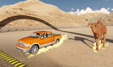 Desert Monster Truck Stunts - Camel Racing Game截图4