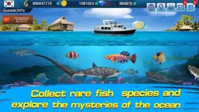 Fishing Championship截图1