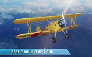 Aeroplane Simulator Flight截图3