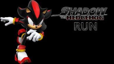 Shadow The Hedgehog Run截图1