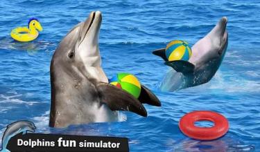 Water Park Dolphin Show Water World Dolphin Games截图3