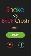 Snake vs Brick Crush截图5