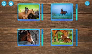 Horse Puzzle Game截图4