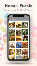 Horse Jigsaw Puzzle截图4