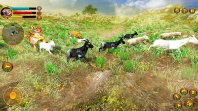 Wild Tiger Simulator 3d animal games截图1