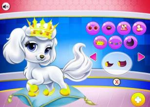 Princess Clean Pets Game截图1