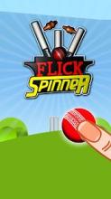 Flick Spinner Cricket 3D截图3